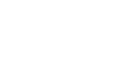 Skol Casino Logo